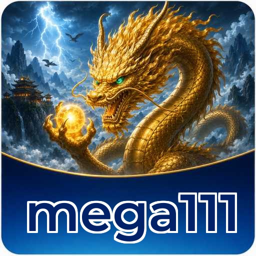 mega111 Technical Info