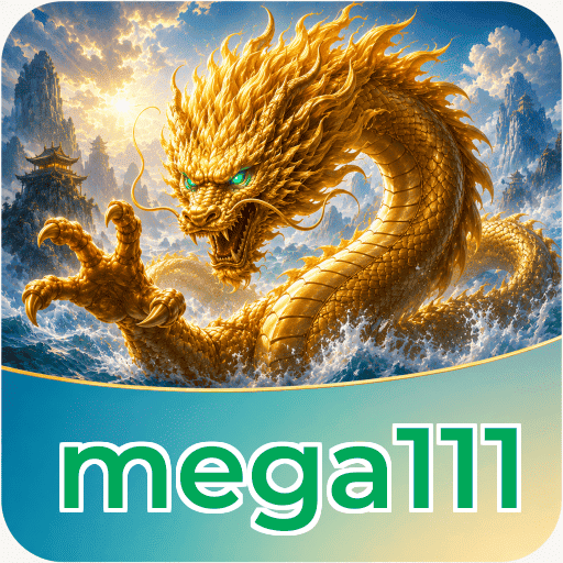 mega111 Technical Info
