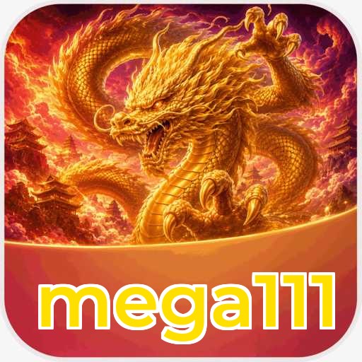 mega111 Verification